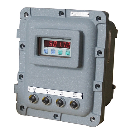 CAJAS A PRUEBA DE EXPLOSIÓN ADPE WL/W60000 PARA INDICADORES SERIE WL60, W60