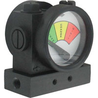 [NVT016241] Series PFG2 Medidor De Filtro De Proceso (PFG2-02: Filtro medidor de proceso, rango de 0-5 psid, zona verde de 0-2.5 psid, zona amarilla de 2.5-3.75 psid, zona roja de 3.75-5 psid.)