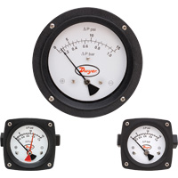 [NVT016279] Series PTGD Manómetro Tipo Pistón De Presión Diferencial (PTGD-AA01A: Medidor diferencial de pistón, conexiones en línea, rango de 0-5 psid.)