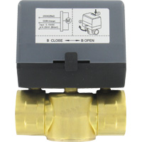 [NVT018315] Series ZV2 Válvula De Zona Desmontable De Dos Vías (ZV20412: Válvula de zona de 2 vías, NPT de 1", 120 VCA.)