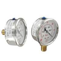 Series SGY Manómetro Industrial De 2,5"