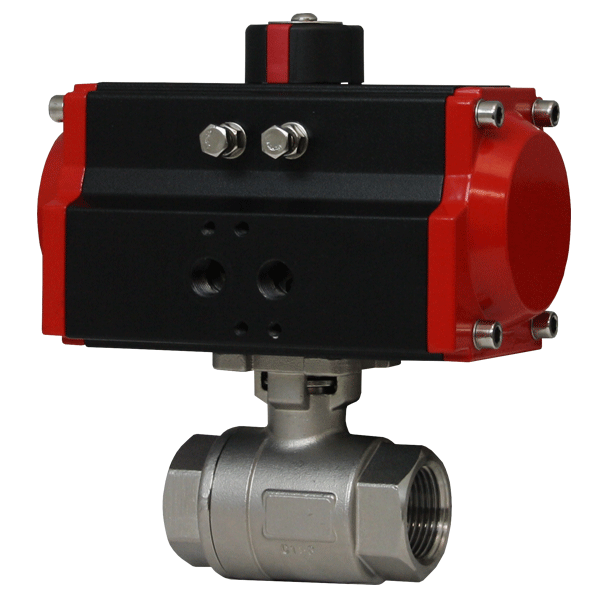 [NVT018060] Series WE01 Válvula Esférica De Acero Inoxidable NPT De 2 Piezas